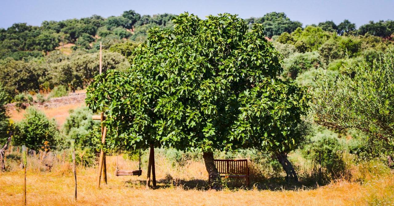 Quinta Da Soneca Daire Alandroal Dış mekan fotoğraf
