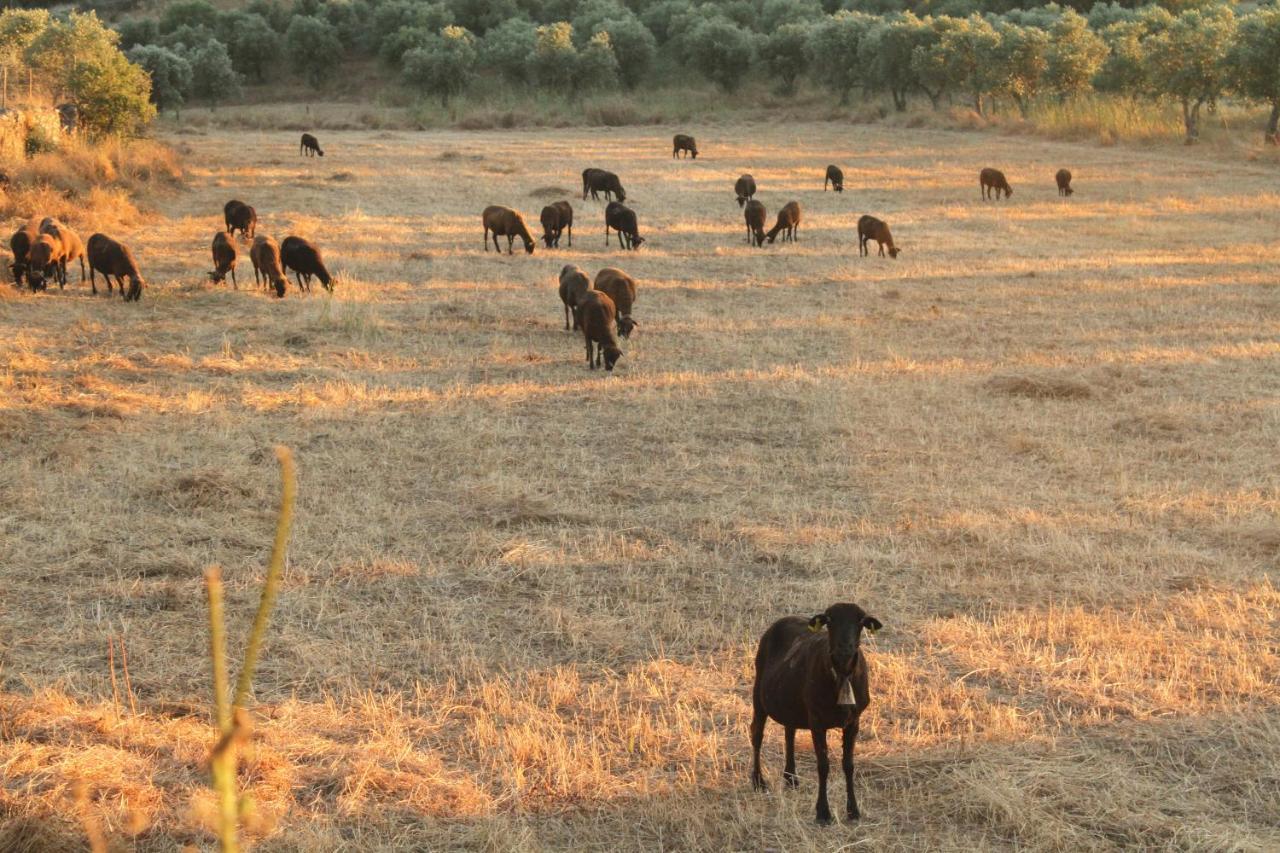 Quinta Da Soneca Daire Alandroal Dış mekan fotoğraf